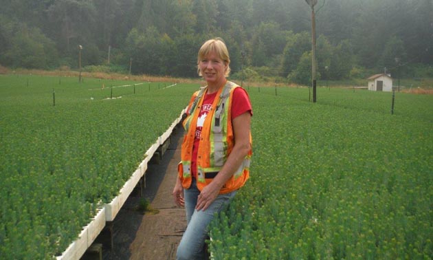 Melanie Buerge is standing outside in a row that is between huge benches of evergreen tree seedlings.