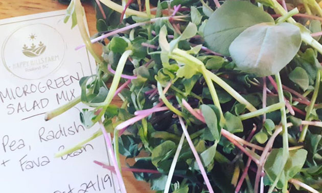 Close-up of microgreens with handwritten sign. 