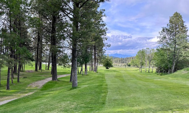 Scenic view of surroundings at Mission Hills Golf Course, showing manicured greens, tall pine trees and distant mountains. 