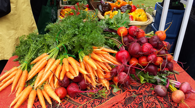 Carrots and radishes spread on a table.