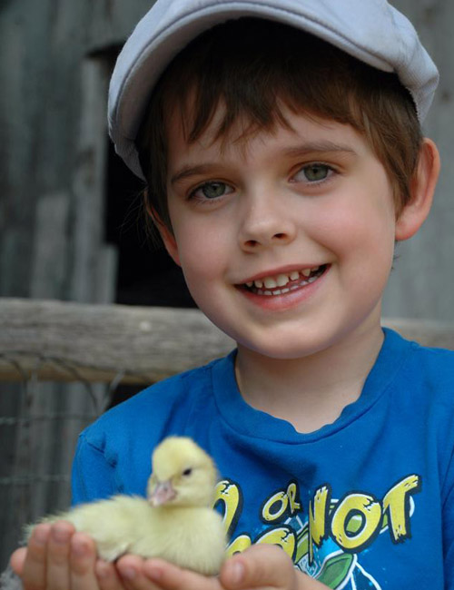 Child holding a duckling. 