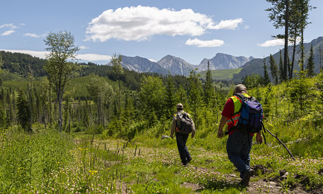 Two men walk along a path in nature.