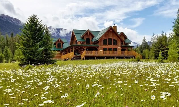 View of log house with field of daisies in foreground. 