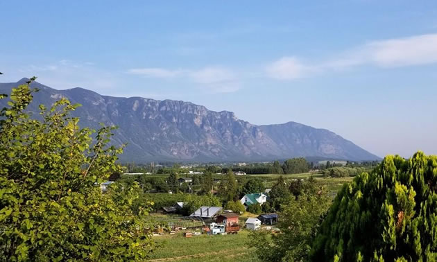 Scenic view of acreage on a sunny summer day. 