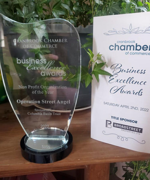 Close-up of Business Excellence award. 