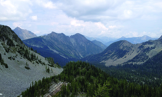 A view of mountains from a mountain pass near Tanglefoot Lake, near Cranbrook, B.C.