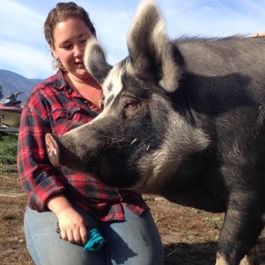 Jessica Piccinin with her 408 kilogram (900 lb) pig, Annie. 