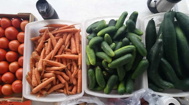 Carrots, cucumbers and pickles in separate bins.