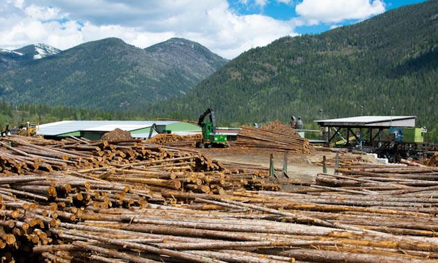 Porcupine Wood Products sawmill, with stacks of logs in foreground of photo. 