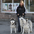 Woman holds three Siberian huskies on leashes in front of Pretty Pooch ’n' Spa.