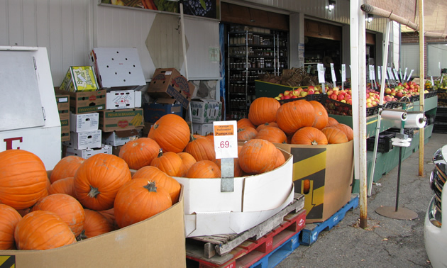 Boxes of pumpkins at an outdoor market