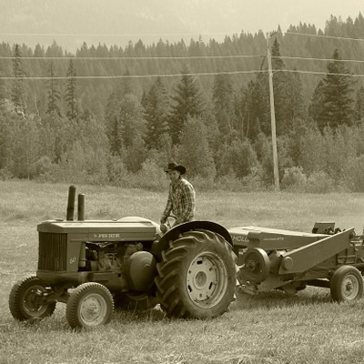 Raylen Tress on tractor. 