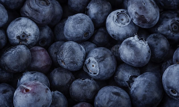 Close-up of ripe blueberries. 