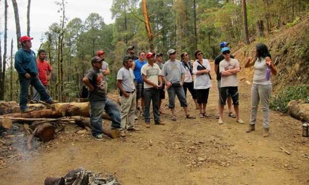 Group photo of Selkirk forestry students in Southern Mexico learning about the area's forests 