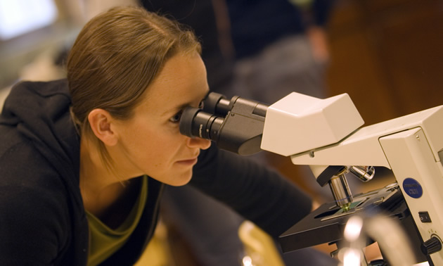 A science student at Selkirk College looks through a microscope. 