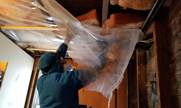 Person ripping insulation out of ceiling. 