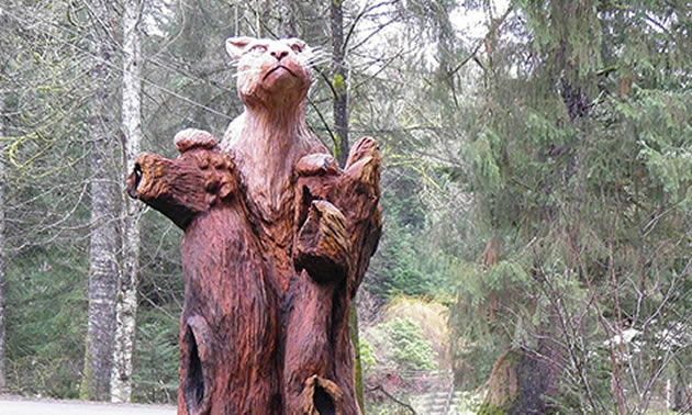 One of the courses features chainsaw Vancouver Island artist Kevin Lewis who will spend three days teaching skills on the Tenth Street Campus.
