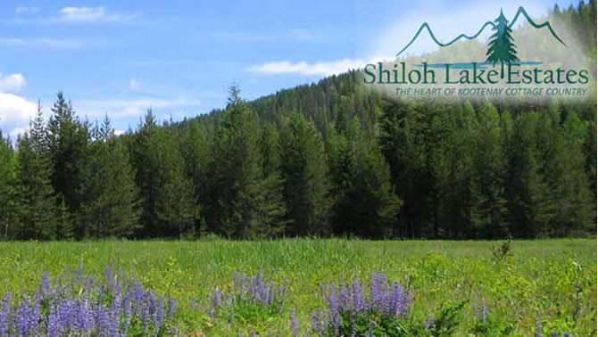 Picture of mountain valley, Shiloh Lake Estates