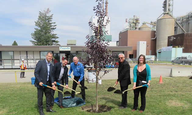 Group of people planting a tree in the ground. 