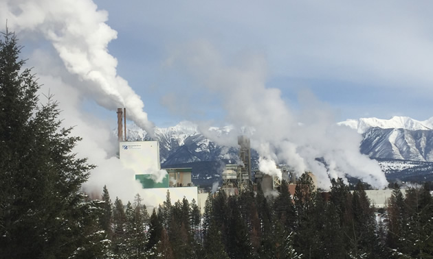 The Paper Excellence Skookumchuck Pulp Mill won Manufacturer of the Year. 