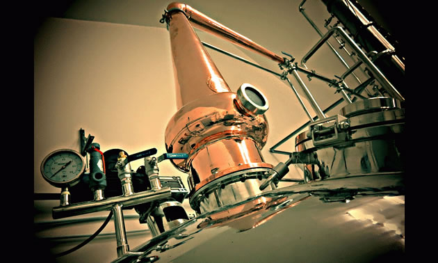 Photo of a still at Kootenay Country Craft Distillery
