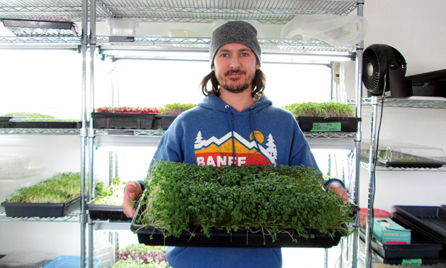 Tiny Greens in Nelson, B.C. Growing microgreens for local restaurants and homes.