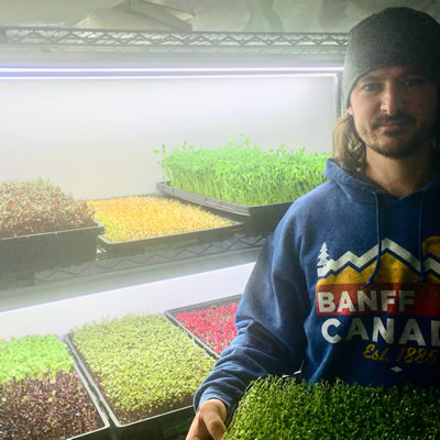 Tiny Greens in Nelson, B.C. Growing microgreens for local restaurants and homes.