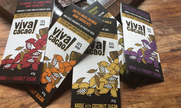 Vica Cacao chocolate bars. 