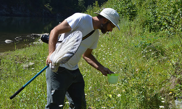 Pollinator inventories have been part of the WTCP Program. 