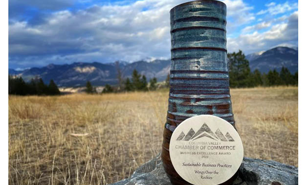 Close-up photo of the Business Excellence award, showing a tall ceramic vase, with medal on front. 