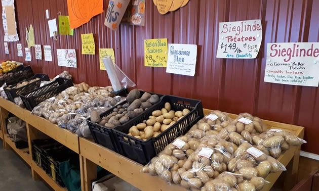 Display of potatoes at market stand. 