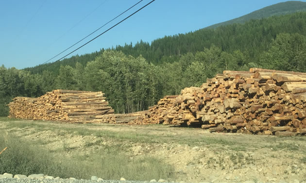 Another view of the log sort in Yahk. 