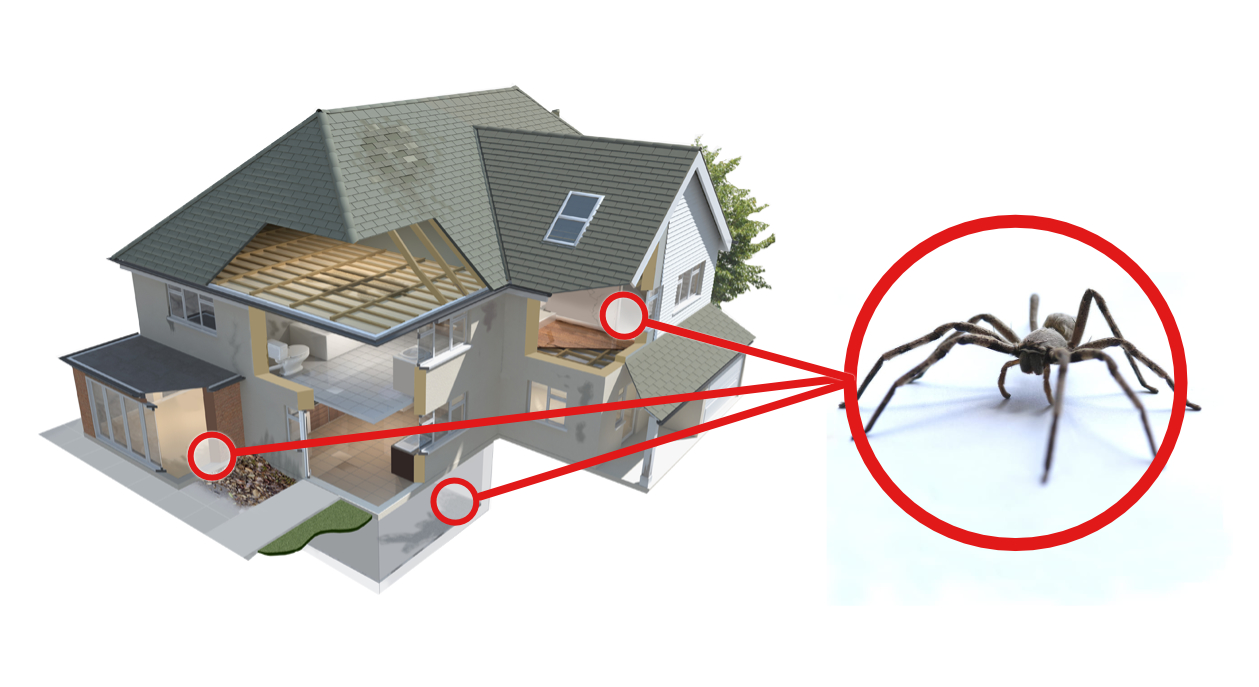 Graphic of a spider in a red circle above a home