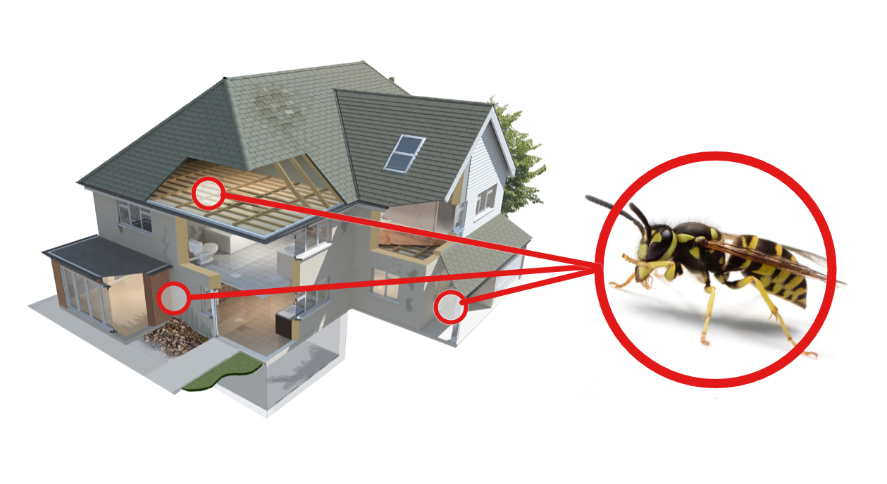 A German yellowjacket in a red circle above a graphic of a home
