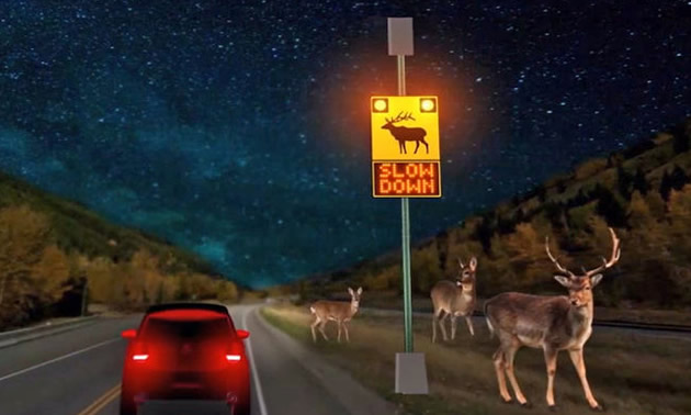 The Wildlife Detection System on Highway 3, designed to protect wildlife and increase safety to motorists. 