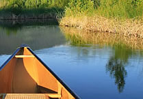 Watershed Network's logo and a canoe photo