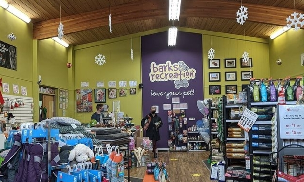 Artistic animal lovers open a pet store in Trail Kootenay Business