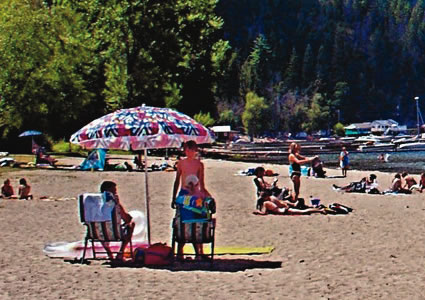 people sunbathing on the beach