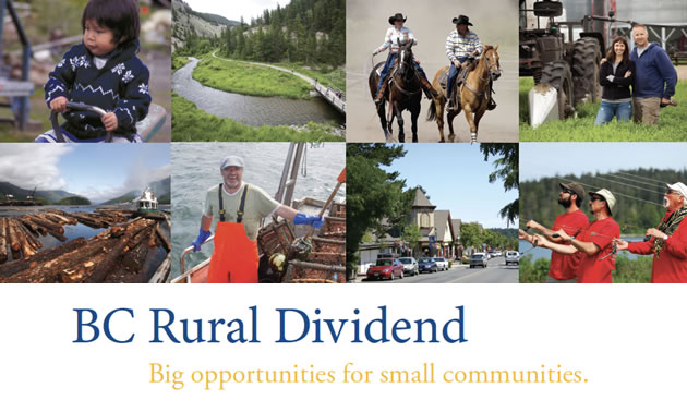 The Columbia Valley has received $159,600 from B.C.'s Rural Dividend Fund to address economic development.