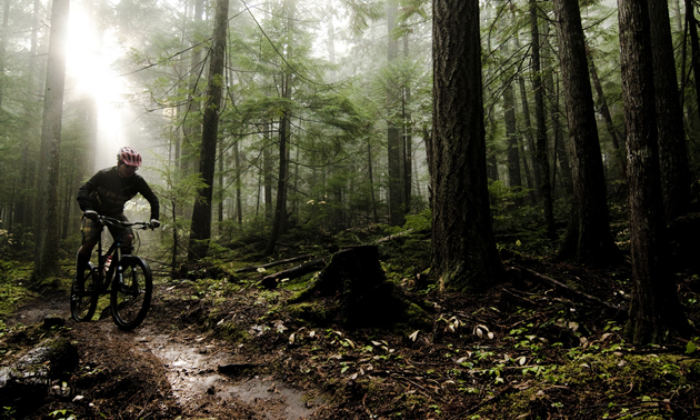 A man rides down a muddy trail surrounded by fresh mud and a soft light.