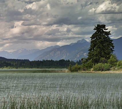 Looking out towards Columbia Lake from the wetland on Lot 48. Photo courtesy of Nature Conservancy of Canada.