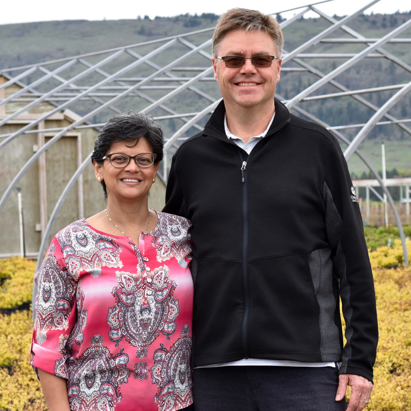 Grand Forks International Baseball Tournament Kootenay Business
