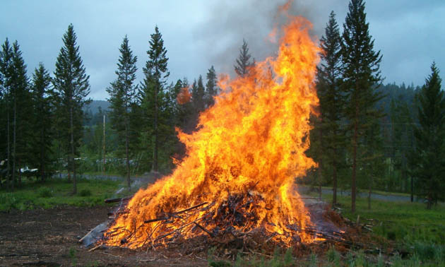 Slash pile burning in forest. 