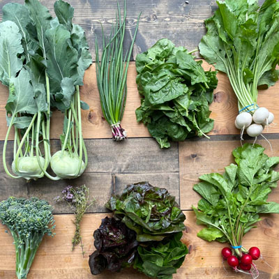 An assortment of vegetables sitting on table. 