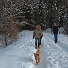 People with dog walking on a trail