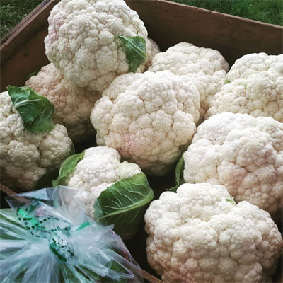 Close-up of cauliflower.