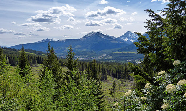 Scenic view of Elkford. 