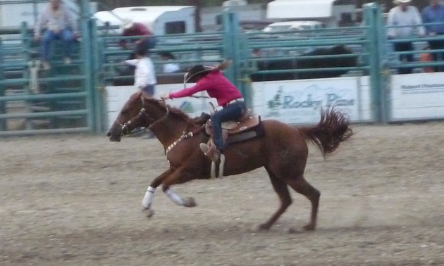 Cranbrook Pro Rodeo | Kootenay Business