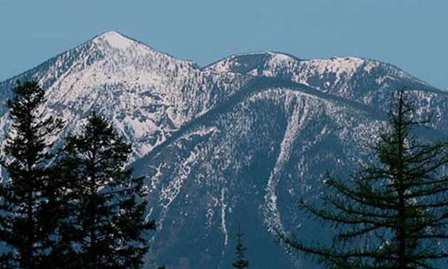 Darkwoods and Next Creek are located along Kootenay Lake, between Nelson and Creston.