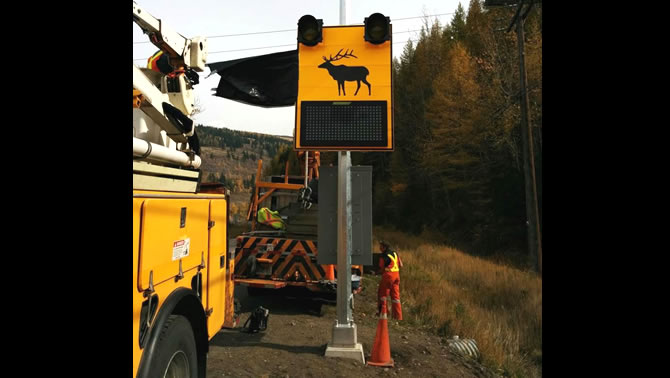 A highway sign with an elk on it that is part of a wildlife detection system in the Elk Valley, B.C.
